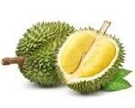 DURIAN